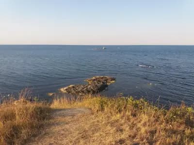 Ресторант "Морска звезда"