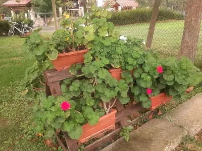 Бунгала „Димови”
