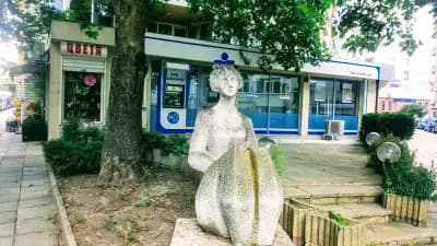 ОББ клон Варна Чайка