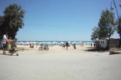 Частный водитель в Болгарии