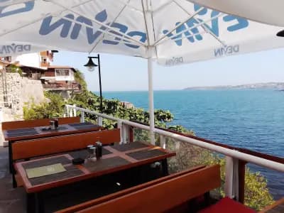 Oliva Fish &Grill