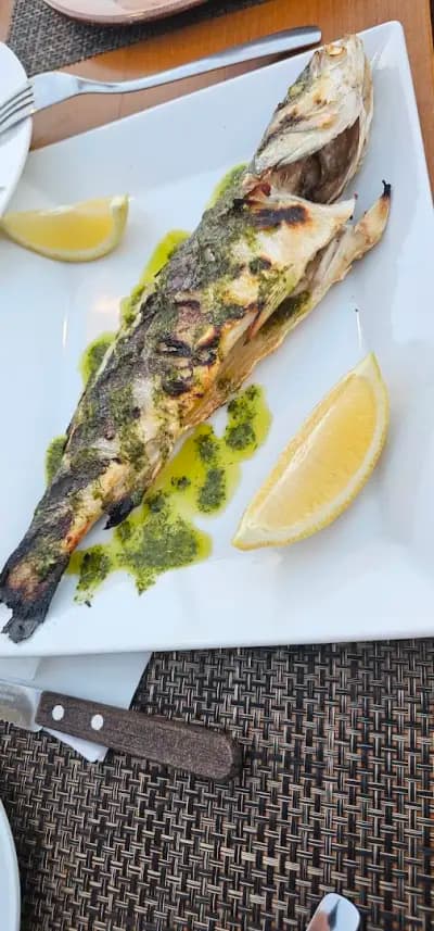 Oliva Fish &Grill
