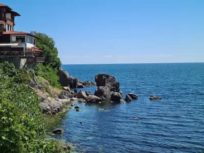 Oliva Fish &Grill