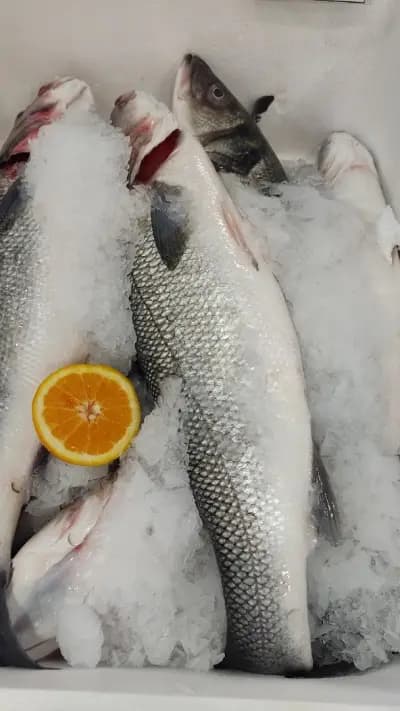 Магазин за риба Sozopol Fish