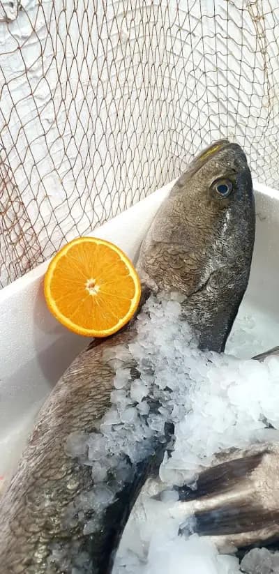 Магазин за риба Sozopol Fish