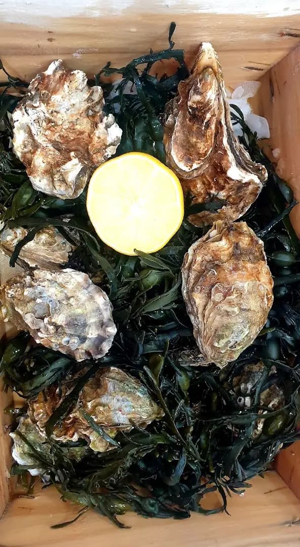 Магазин за риба Sozopol Fish
