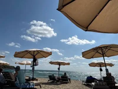 Beach bar Butterfly
