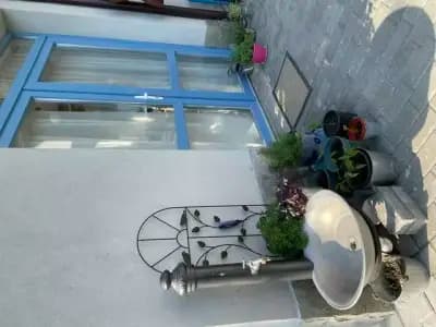 The Cat / Котката