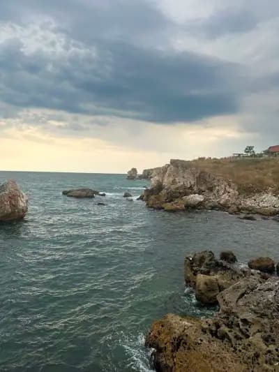 Тюленово бар и ресторант