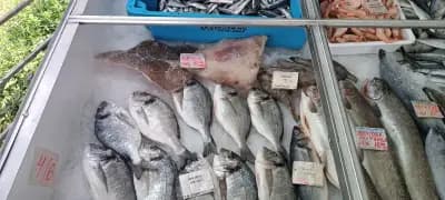 Морски риболов