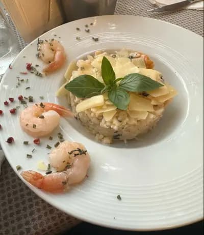 Maistro Meat & Fish