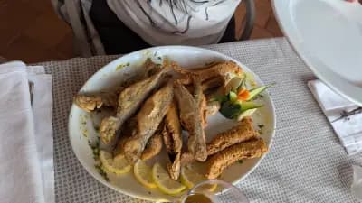 Maistro Meat & Fish
