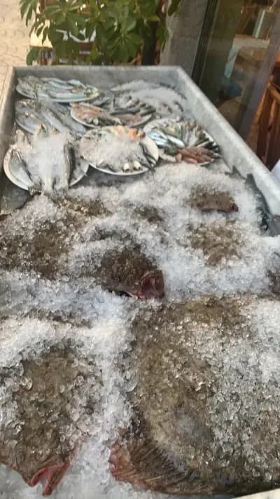 Levant - Local seafood restaurants