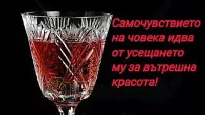 магазин Рени