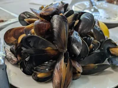 Restauracja Mariola & Piotrek - Nesebar