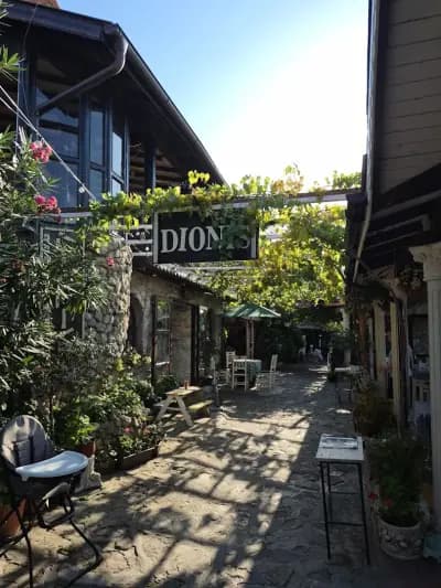 Dionis