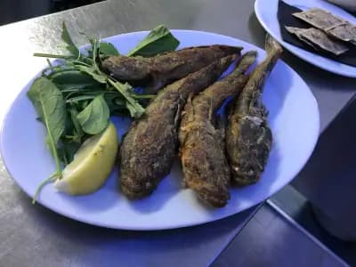 Restaurant & Bar Tarfa Garden / Ресторант и Бар Тарфа Гардън