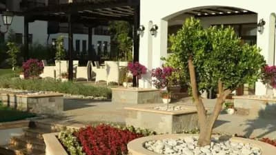 Restaurant Oasis Beach La Lavanda