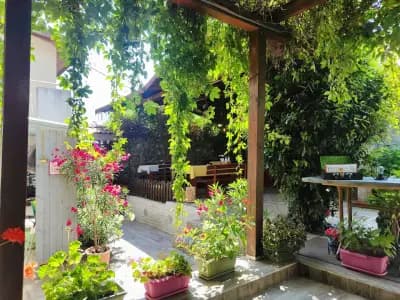Бистро Ариана