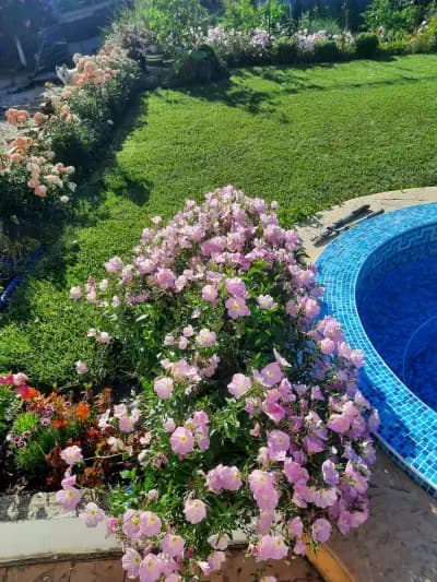 Hotel Sunny Park
