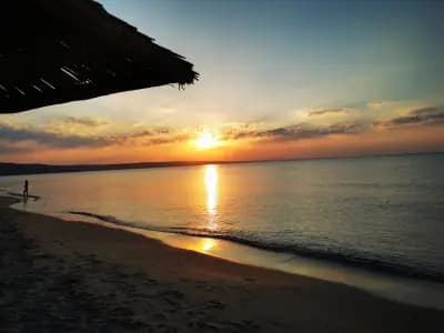 Krabi Bar
