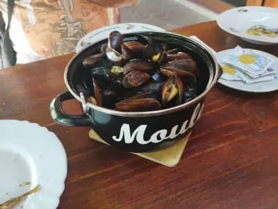 Морско конче