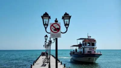Fish & BBQ Restaurant