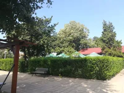 Кафе Ресторант Дъбчето