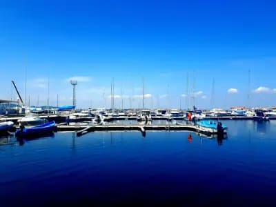 Chiko's Fish Restaurant