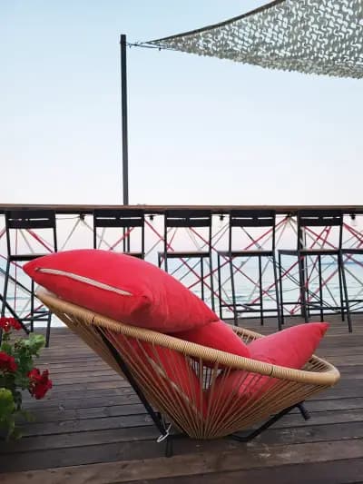 Terrace Brunch&Cocktails