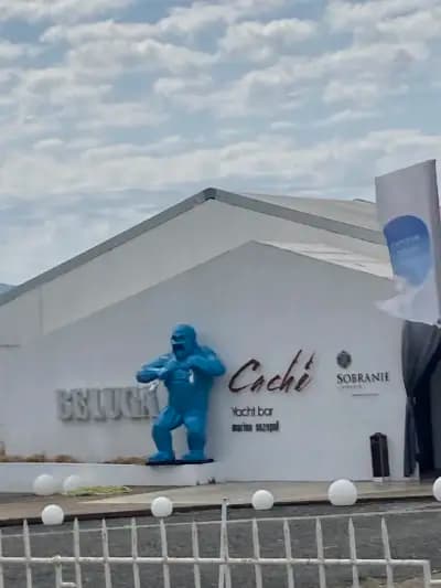 Caché Yacht Bar