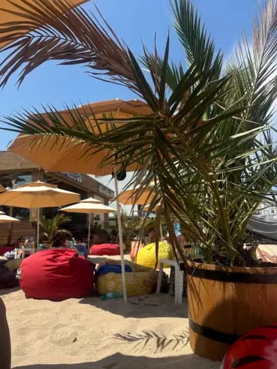 EX BEACH BAR