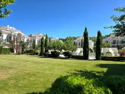 Olympia Houses