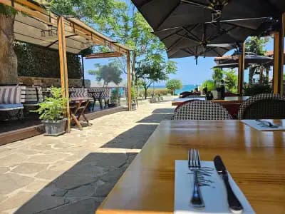 Matis bar and Grill