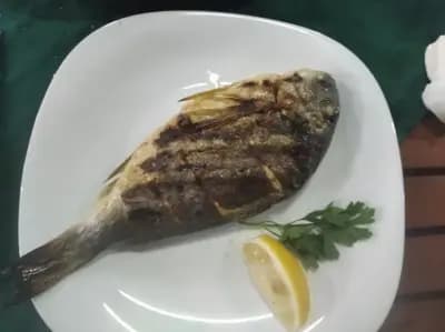 Bistro "Kristina-Fish"