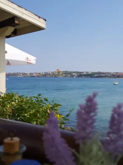 Restaurant Laguna