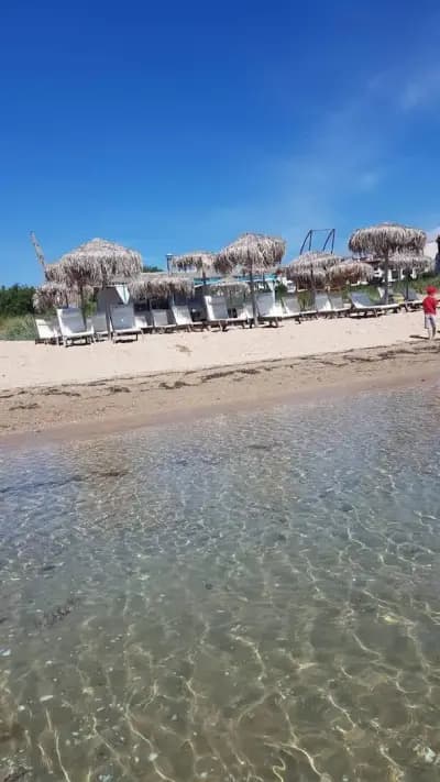 Bar & Dinner Рибката