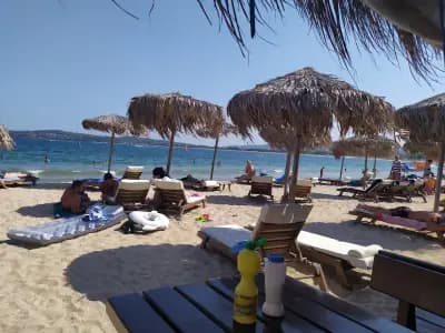 Bar & Dinner Рибката