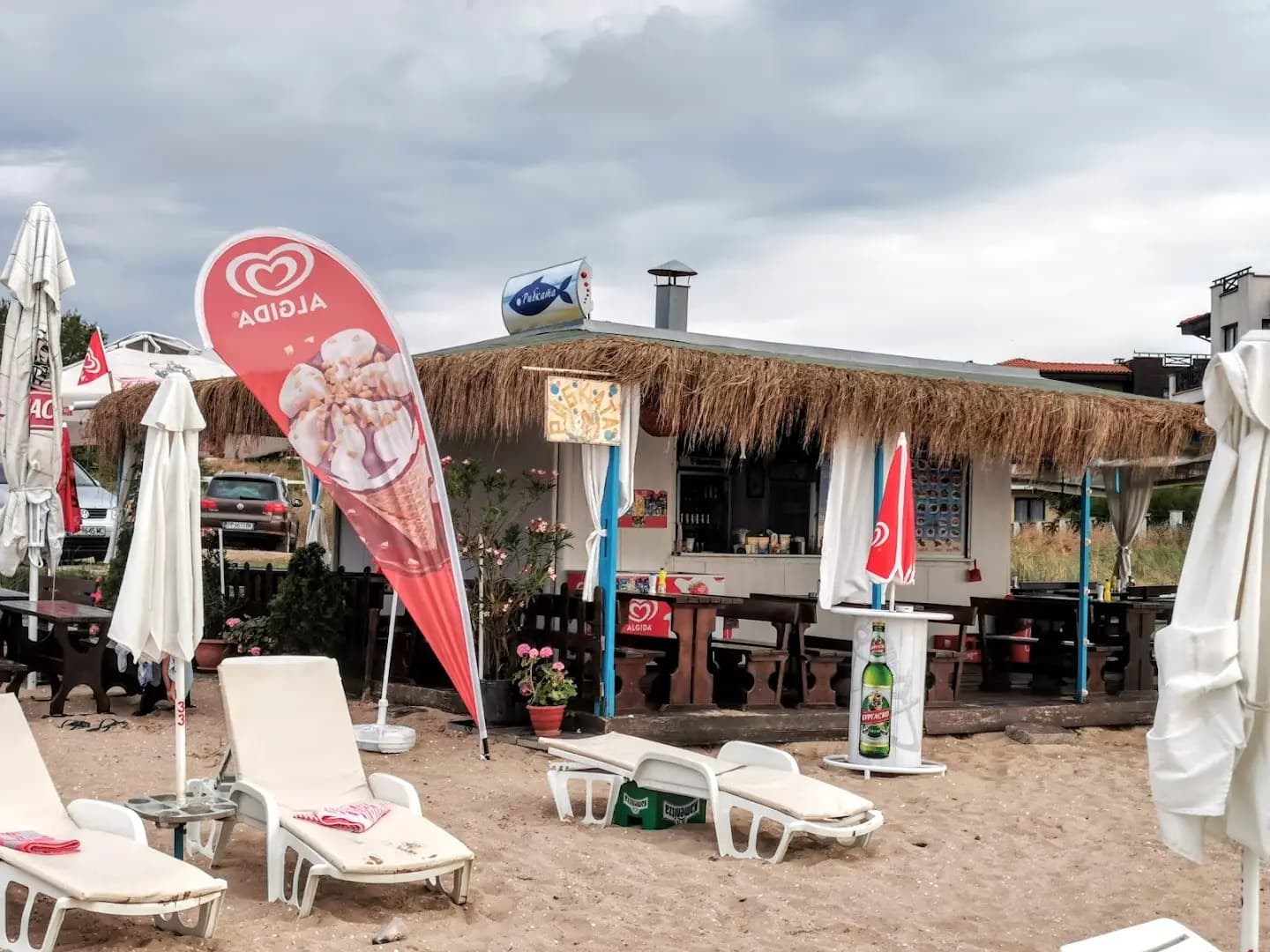 Bar & Dinner Рибката