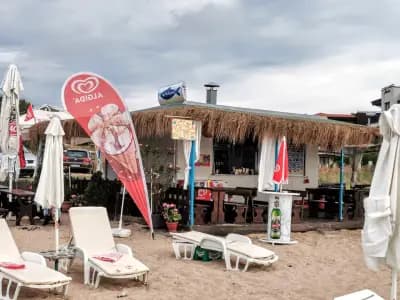 Bar & Dinner Рибката