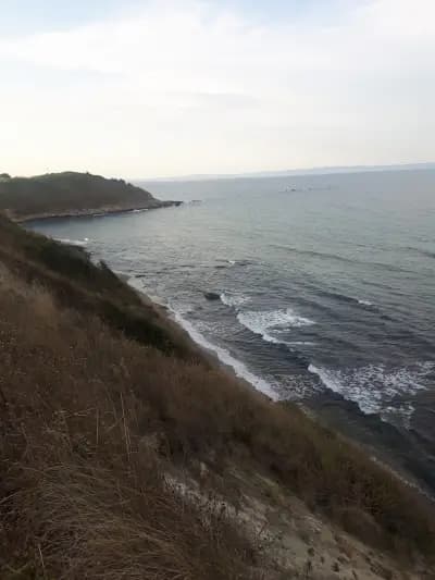 При Томата