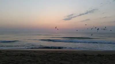 Campo Beach