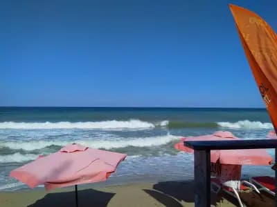 Beach Bar Vision