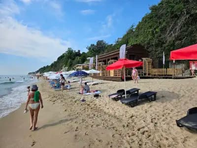Beach Bar Vision