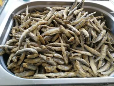 Магазин за прясна риба и морски деликатеси „Собствен улов“ – гр. Бяла | Fresh Fish & Seafood Byala