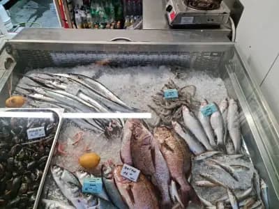 Магазин за прясна риба и морски деликатеси „Собствен улов“ – гр. Бяла | Fresh Fish & Seafood Byala