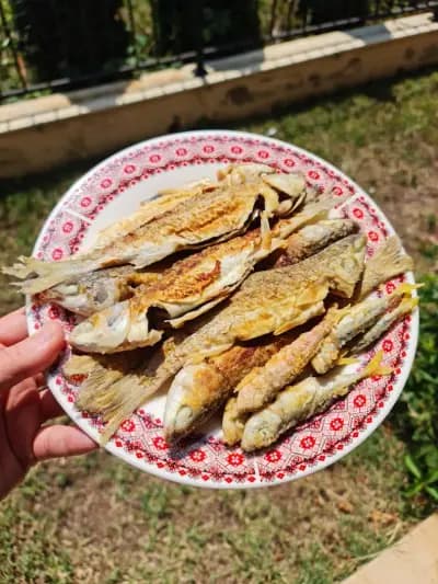 Магазин за прясна риба и морски деликатеси „Собствен улов“ – гр. Бяла | Fresh Fish & Seafood Byala