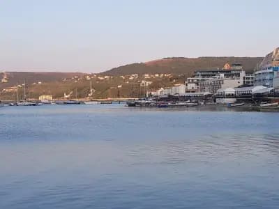 Ирландски пътешественик