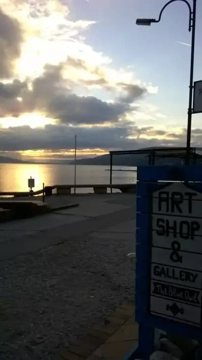 Art Shop & Gallery "The Blue Owl"