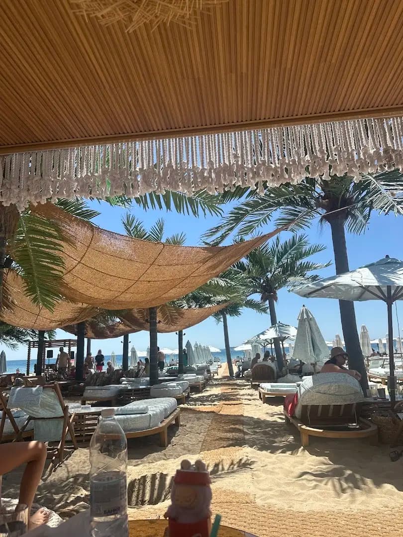 Luxury Beach Dolphin